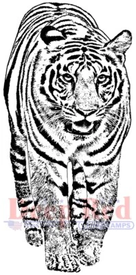 Deep Red Stamps Bengal Tiger Rubber Cling Stamp - Image 1 of 4