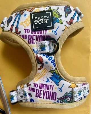 Toy Story Harness - Image 1 of 2