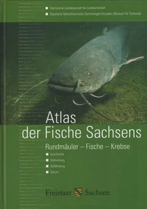 Buch: Atlas der Fische Sachsens, Füllner, Gert u.a., 2005, Sächsisches Landesamt - Bild 1 von 1