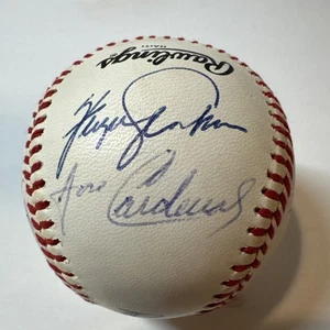 Signed Ball 1989 St Louis Cardinals Fantasy Camp Fergie Jenkins Jose Cardinal +9 - Picture 1 of 9