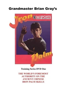 Kung Fu Iron Palm Training #1 Hand Conditioning Secrets DVD GM Brian Gray - Picture 1 of 5