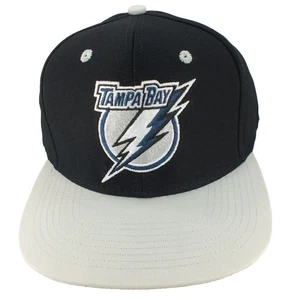 Tampa Bay Embroidred Lightning Hat Cap Snap Back Black Gray Hockey NHL Reebok - Picture 1 of 5