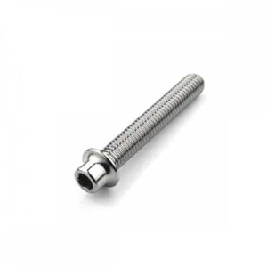 Perno ajustador de cadena de tapa de enchufe de acero inoxidable M8 x 1,25 mm x 50 mm - Imagen 1 de 1