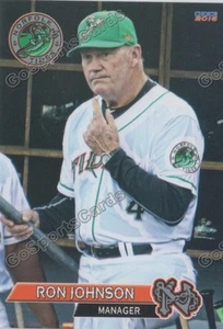 Norfolk Tides 2016 Ron Johnson Baltimore Orioles MGR - Imagen 1 de 1