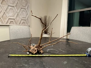 ADA AQUA DESIGN AMANO RAMO LEGNO DRIFTWOOD NATURA ACQUARIO PIANTATO - Foto 1 di 2