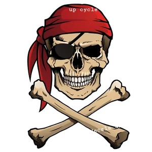 TRANSFERENCIA DE MUEBLES DE COLECCIÓN PIRATA JOLLY ROGER TOBOGÁN ACUÁTICO, PEGATINA MEJOR PRECIO ❤ - Imagen 1 de 7
