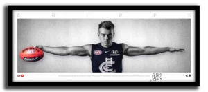 PATRICK CRIPPS MINI WINGS CARLTON FC AFL PRINT SIGNED FRAMED MEMORABILIA - Picture 1 of 2