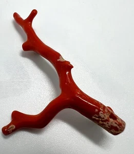 Art Nouveau silver brooch with red branch coral 800 silver branch coral brooch - Picture 1 of 5