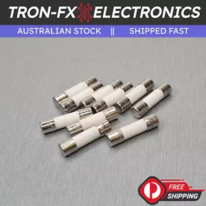 10PCS 10A T10A Ceramic Fuse M205 5x20mm Slow Blow 250V AUSTRALUX - Picture 1 of 4