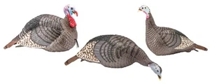 HS STRUT 100006 STRUT-LITE FLOCK WILD TURKEY SPECIES MULTI COLOR SYNTHETIC 3 PER - Picture 1 of 1