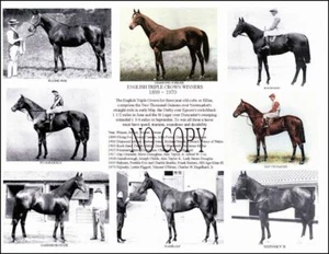 English Triple Crown winners race horse compilation 8.5 X 11 Nijinsky II - Picture 1 of 1