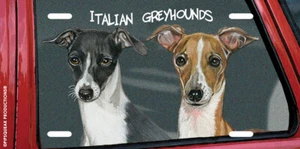 Italian Greyhounds License Plate, Car Accessory, Auto Tag, Bedroom Sign, Fun Dog - Picture 1 of 1