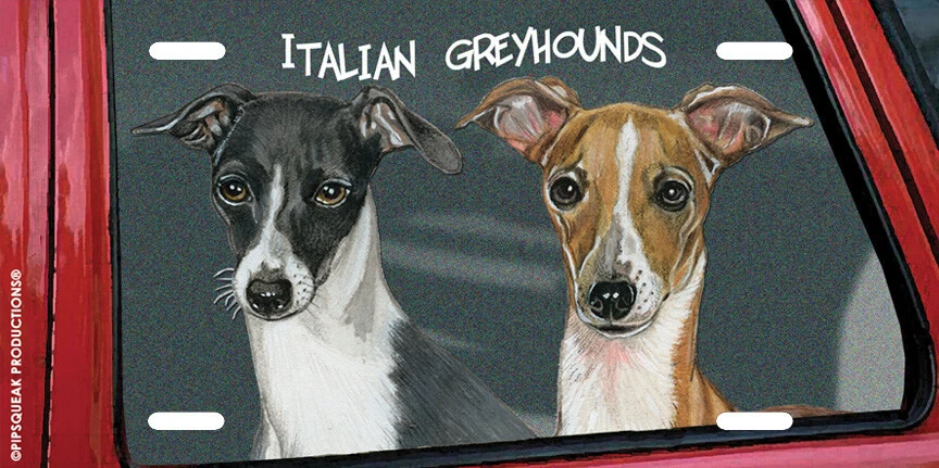 Italian Greyhounds License Plate, Car Accessory, Auto Tag, Bedroom Sign, Fun Dog - Изображение 1 из 1
