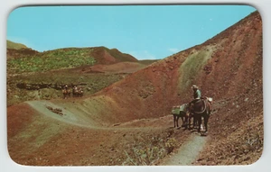 Olla de pintura postal de Pelé en el cráter Haleakala en Maui, Hawai - Imagen 1 de 2