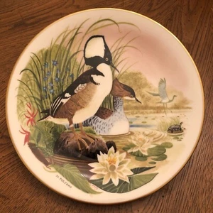 Escenas como nuevas de Danbury de un plato de cañada boscosa de Jo Polseno merganser con capucha - Imagen 1 de 3