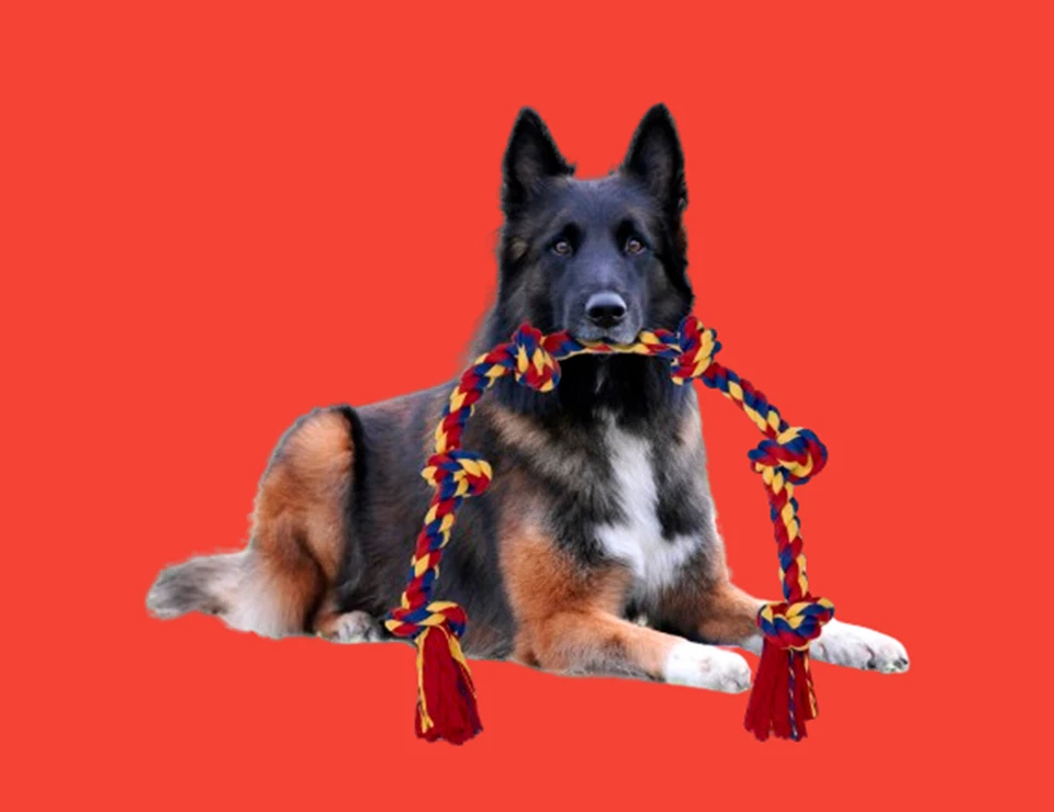 48" Interactive Dog Toy – Quick Calm, Indoor or Outdoor Exercise, Happy Pup - Image 1 of 4