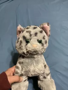 Costruisci un orso promessa animali domestici grigio maculato gattino gatto peluche giocattolo BAB - Foto 1 di 8