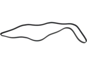 For 2008-2010 Jeep Grand Cherokee Multi Rib Belt API 86555YQ - Picture 1 of 2