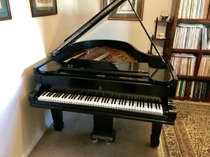 ๐น Steinway & Sons / Grand Piano / 1885 New York / Model A / tuned & delivery ๐ - Picture 1 of 11