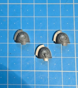 UM Primaris Upgrades Bits Gravis Shoulder Pad x3 Ultramarines Space Marines Bitz - Imagen 1 de 1