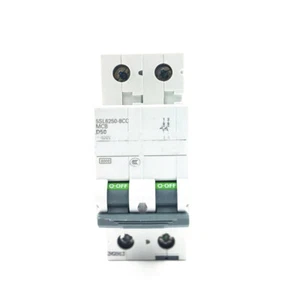 Disyuntor 2P 50A 400V para Siemens 5SL6250-8CC - Imagen 1 de 4