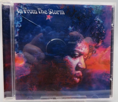 In From The Storm -The Music Of Jimi Hendrix - CD - 1995  Foto 1 de 4