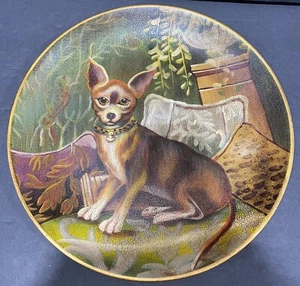 Elaine Vollherbst Verwöhnter Mops Welpe Hund Deko Chihuahua Vintage Selten - Bild 1 von 4