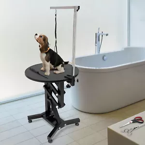 Electric Lift Dog Grooming Table 24" Rotating Desktop With Adjustable Holder NEW - Picture 1 of 15