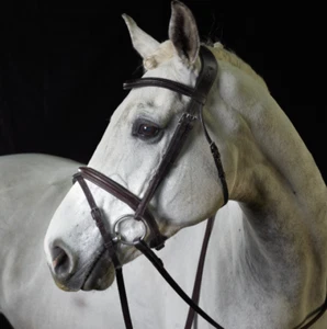 GFS Colt Flash Bridle Pony Black + Rubber Reins New - Picture 1 of 2