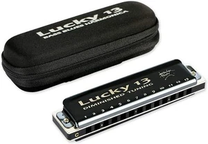 Lucky 13 Bass Plus Blues Harmonica 13 Holes Diatonic Harp Harmonica US Stock - Picture 1 of 25