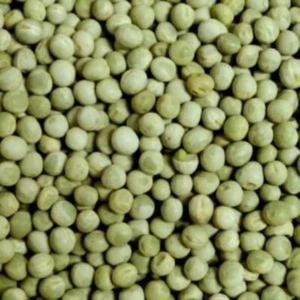 Grüne Erbsen 5 kg Futtererbsen für Tauben und Vögel Eurital - Bild 1 von 1