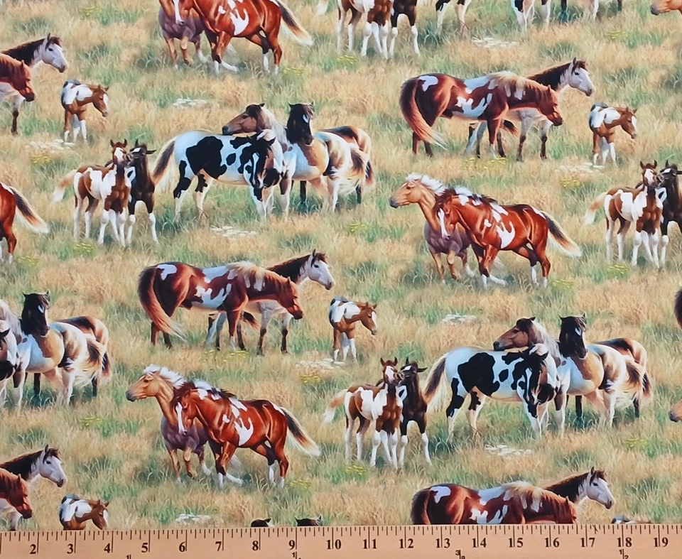 Algodón Pasture Buddies Caballos Potro Granja Tela Algodón Estampado por Yarda D370.90 Foto 1 de 1