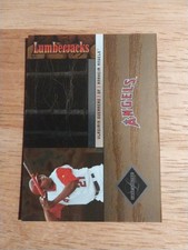 2004 Leaf Limited Lumberjacks #LJ-38 Vladimir Guerrero #146/234