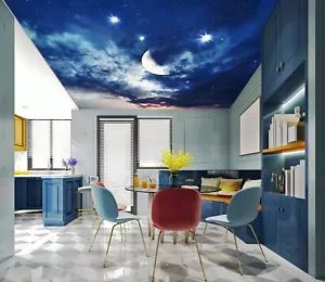 3D Sky Stars G3893 Ceiling WallPaper Murals Wall Print Decal Deco Erin 2023 - Picture 1 of 5