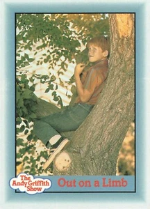 The Andy Griffith Show Series 3 Out on a Limb - Picture 1 of 2