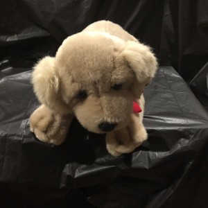 anna club plush duck