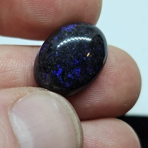 TNT: FO101 8.5ct 17x13x6mm Andamooka Blue Fairy Opal Natural Cabochon Heated - Picture 1 of 9