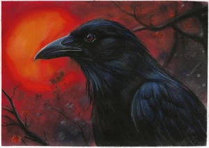 original drawing 30 x 40 cm 124DrO artwork pastel modern realism black crow - Picture 1 of 5