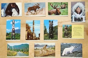 11 postales vintage de Alaska con bordes de cubierta - Imagen 1 de 2