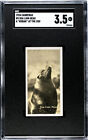 1924 Carreras Ltd. Sea Lion #3 A Kodak at the Zoo SGC 3.5