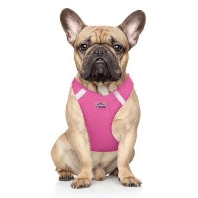 Arnés para perros American River Ultra sin estranguladores - rosa caramelo M Foto 1 de 4