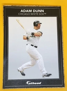 Adam Dunn White Sox MLB FATHEAD Small Ad Panel Poster 6” x 4" Graphics wall - Picture 1 of 4