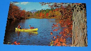 Vtg Postcard -Canada-Canoeing on an Autumn Day -not posted - Picture 1 of 2