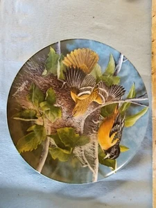 Knoles The Baltimore Oriole 1987 de Kevin Daniel Birds of your Garden Collection - Imagen 1 de 3