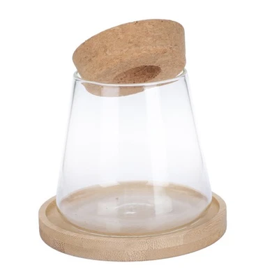  Blumen Vase Übertopf Glas Hydroponische Pflanzen Desktop-Dekoration - Bild 1 von 4