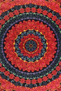 3D BLOOMING BUTTERFLIES Psychedelic Tapestry/Wall Hanging 60"x90" FREE GLASSES - Picture 1 of 2