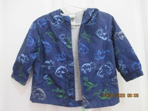 little me dinosaur outfit