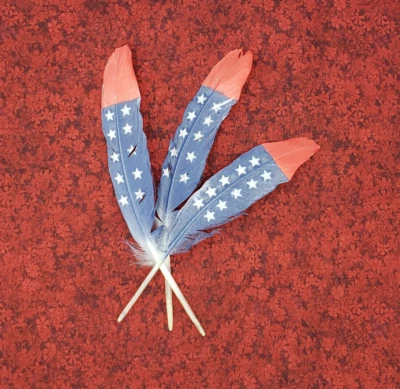 PLUMA BANDERA AMERICANA (SOLO 1 PLUMA) Foto 1 de 2