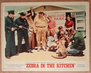 11x14 Lobby Card~ ZEBRA IN THE KITCHEN ~1965 ~Andy Devine ~Jay North~Karen Green
