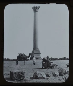 Linterna Mágica Foto Diapositiva Egipto Alejandría Pompeyo Pilar Camellos GW Wilson - Imagen 1 de 3